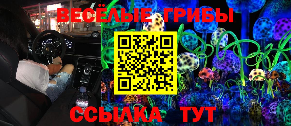 Галлюциногенные грибы Psilocybe Ростов Великий