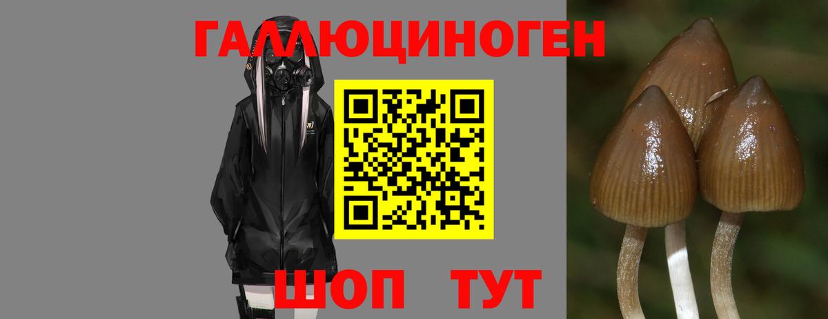 Псилоцибиновые грибы прущие грибы  Псилоцибиновые грибы ЛСД  Ростов Великий  Вход с VPN 